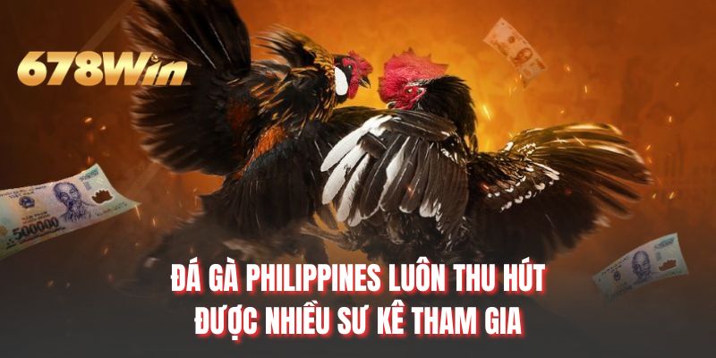 Đá gà Philippines luôn thu hút được nhiều sư kê tham gia