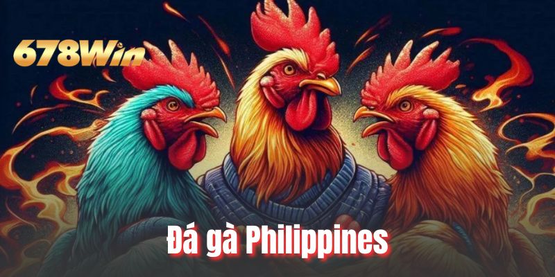 Đá Gà Philippines Tại 678WIN Đấu Trường Rực Lửa Và Đẳng Cấp